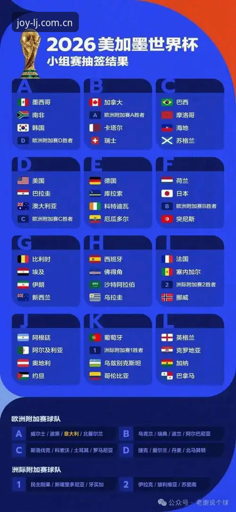 乐竞服务 乐竞体育平台观赛指南:世界杯签证危机下的观赛策略与实时信息获取